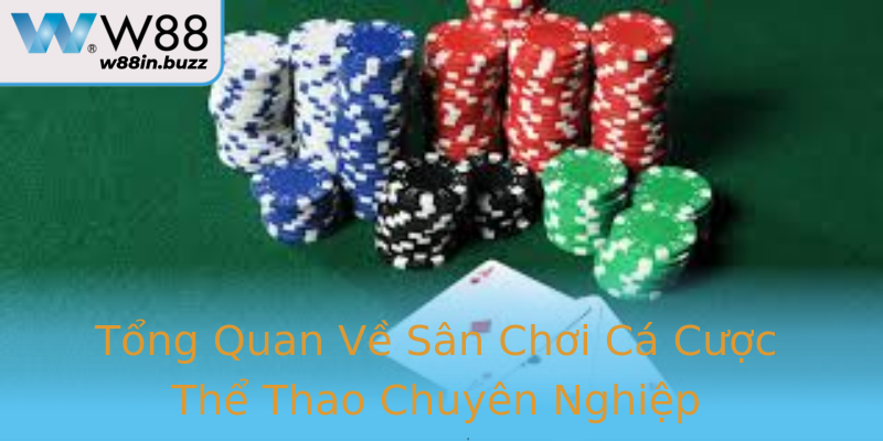 Tổng Quan Về Sân Chơi Cá Cược Thể Thao Chuyên Nghiệp
